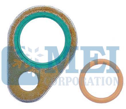 Oring &amp; Gasket Kit -Navistar