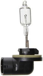 [BP886] Wagner Bulb